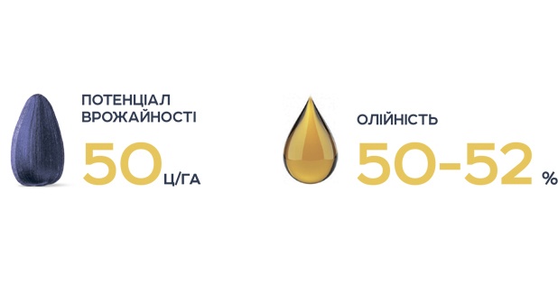 Грифон