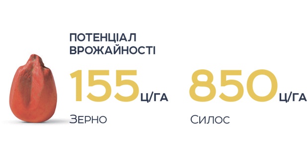 Orilsky