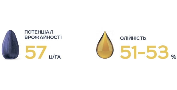 Пегас