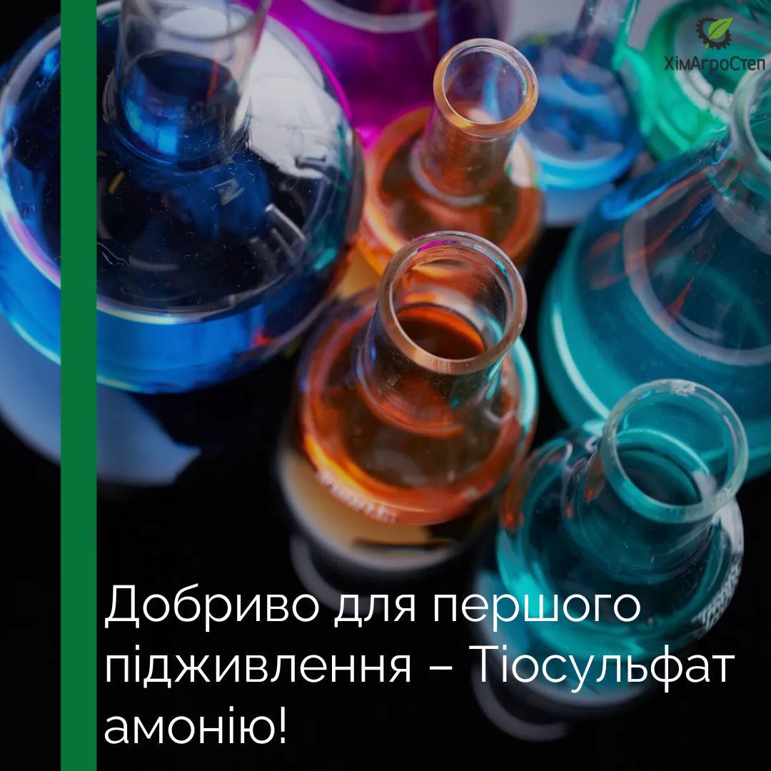 Перше підживлення рослин Тіосульфатом Амонію